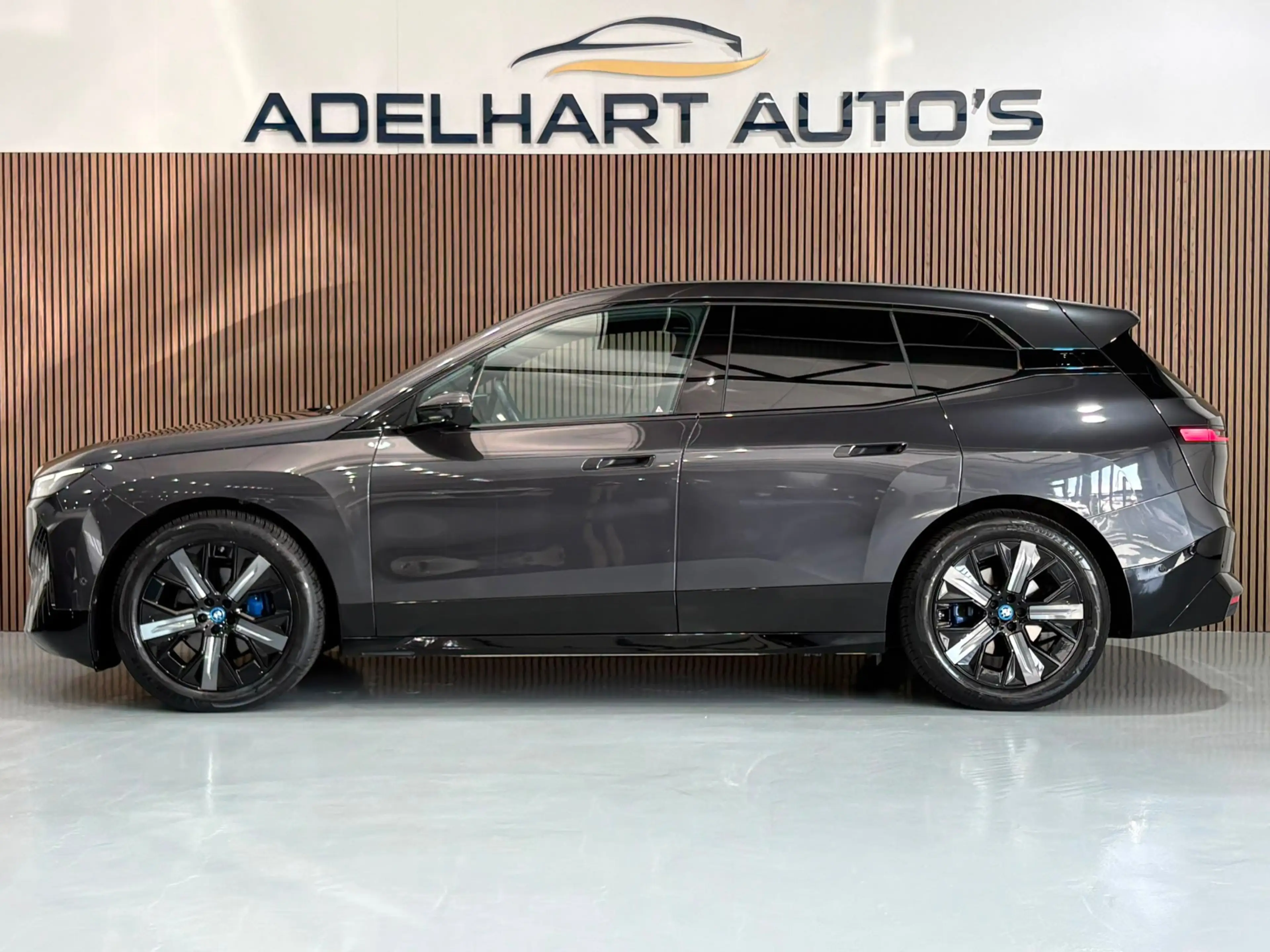BMW iX XDrive50 Business Edition Plus 112 kWh / Panoramad — photo 2