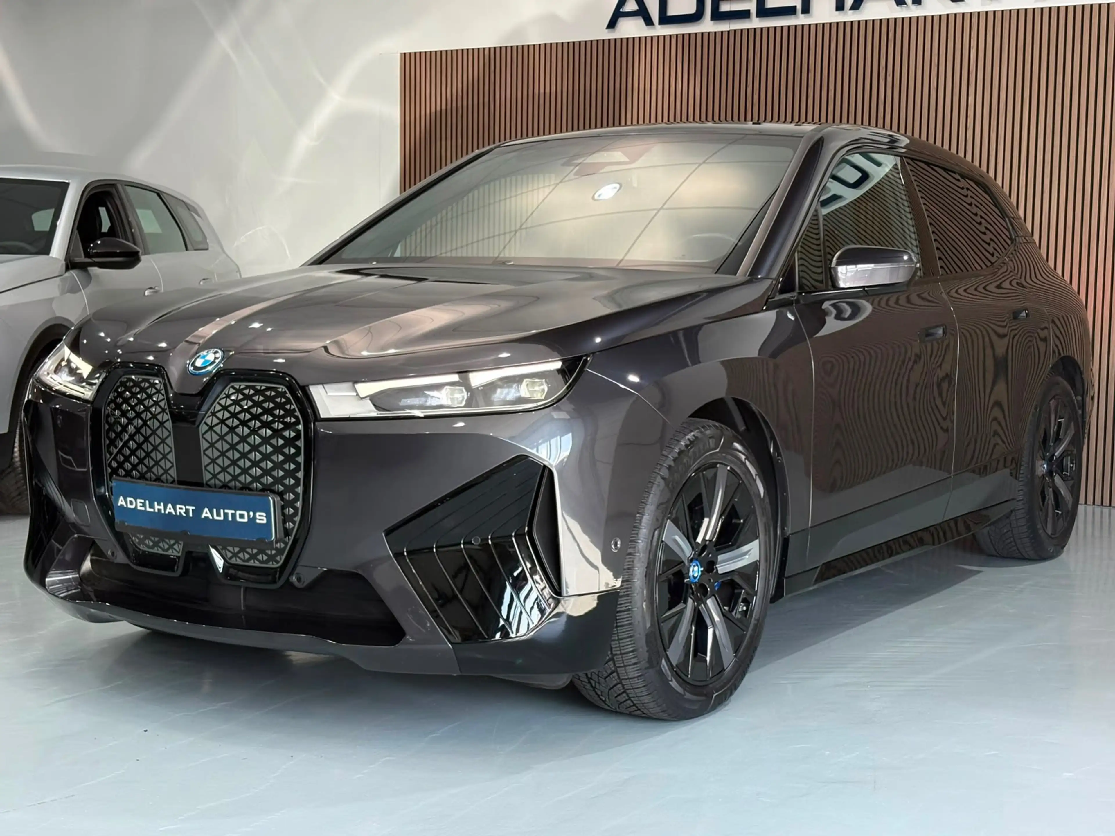BMW iX XDrive50 Business Edition Plus 112 kWh / Panoramad — photo 9