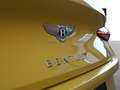 Bentley Continental GTC Speed First Edition *CC-Bremse* Gelb - thumbnail 9