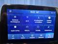 Ford EcoSport 1.0T EcoBoost 92kW (125CV) S&S Active Gris - thumbnail 33