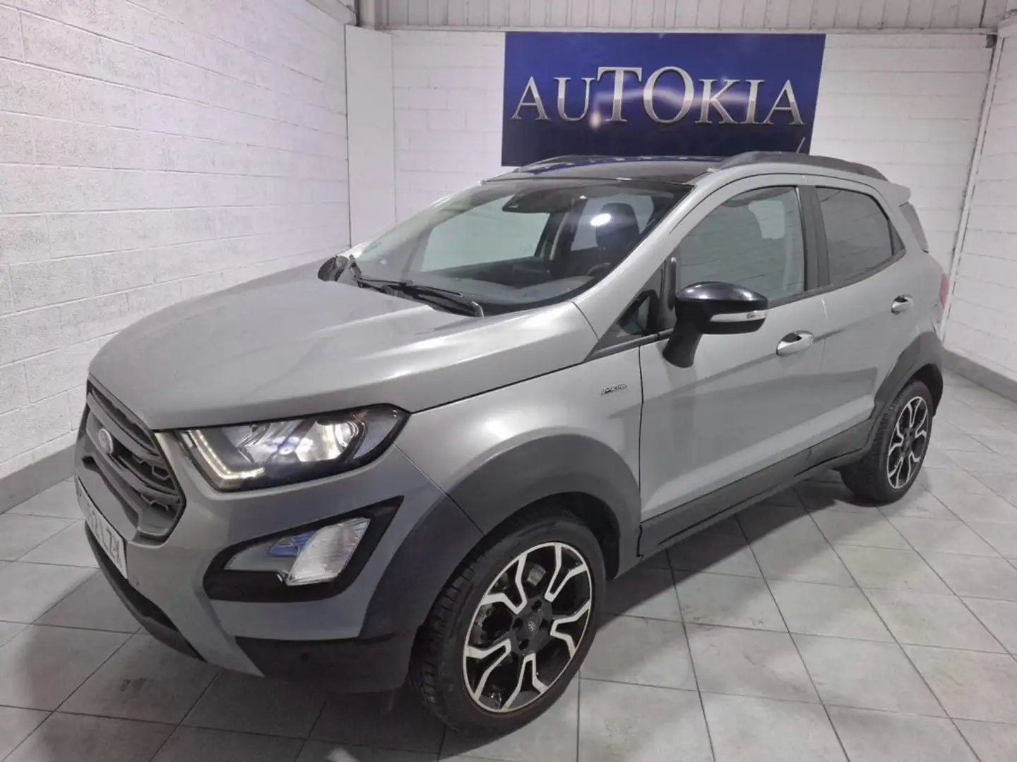 Ford EcoSport 1.0T EcoBoost 92kW (125CV) S&S Active Gris - 1