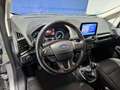 Ford EcoSport 1.0T EcoBoost 92kW (125CV) S&S Active Grijs - thumbnail 18