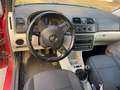 Skoda Fabia 1.6TDI Ambition 90 Rojo - thumbnail 7