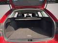 Skoda Octavia 1.0 TSI (Green tec) DSG Joy AHK BOLERO-Soundsystem Rot - thumbnail 6