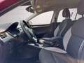 Skoda Octavia 1.0 TSI (Green tec) DSG Joy AHK BOLERO-Soundsystem Rot - thumbnail 7