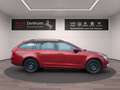 Skoda Octavia 1.0 TSI (Green tec) DSG Joy AHK BOLERO-Soundsystem Rot - thumbnail 3