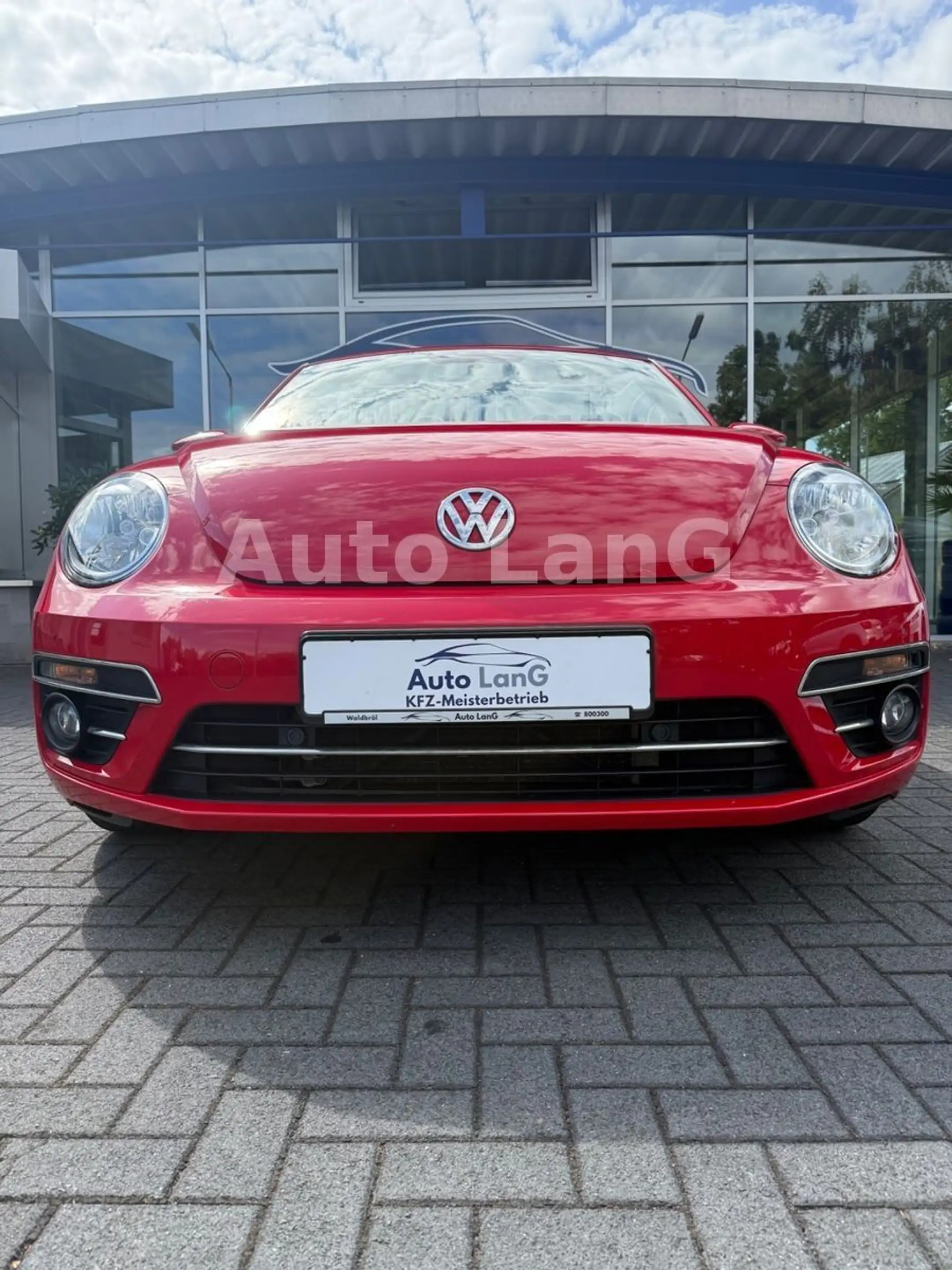Volkswagen Beetle Cabrio Sound NAVI PDC SHZ — photo 2