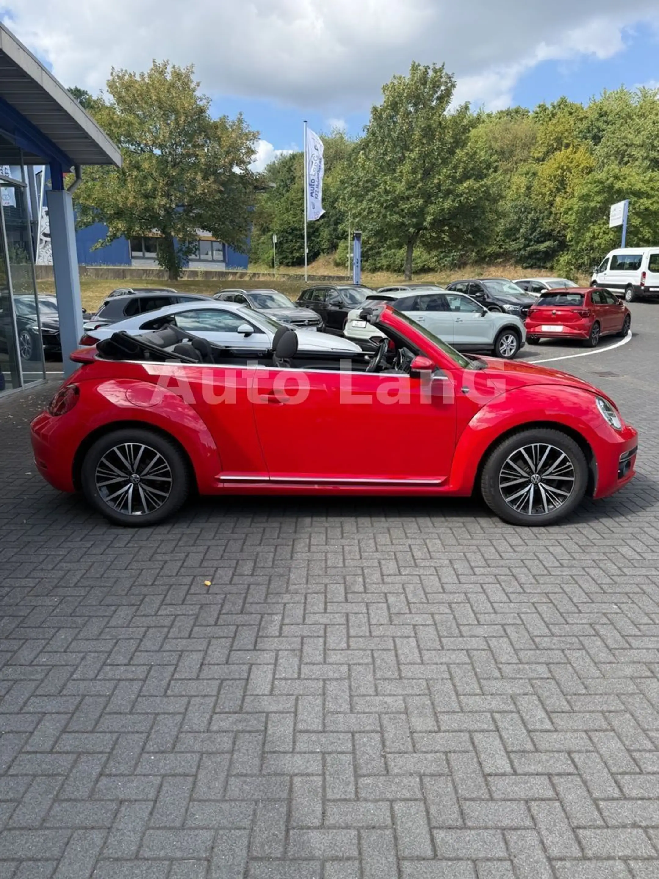 Volkswagen Beetle Cabrio Sound NAVI PDC SHZ — photo 8