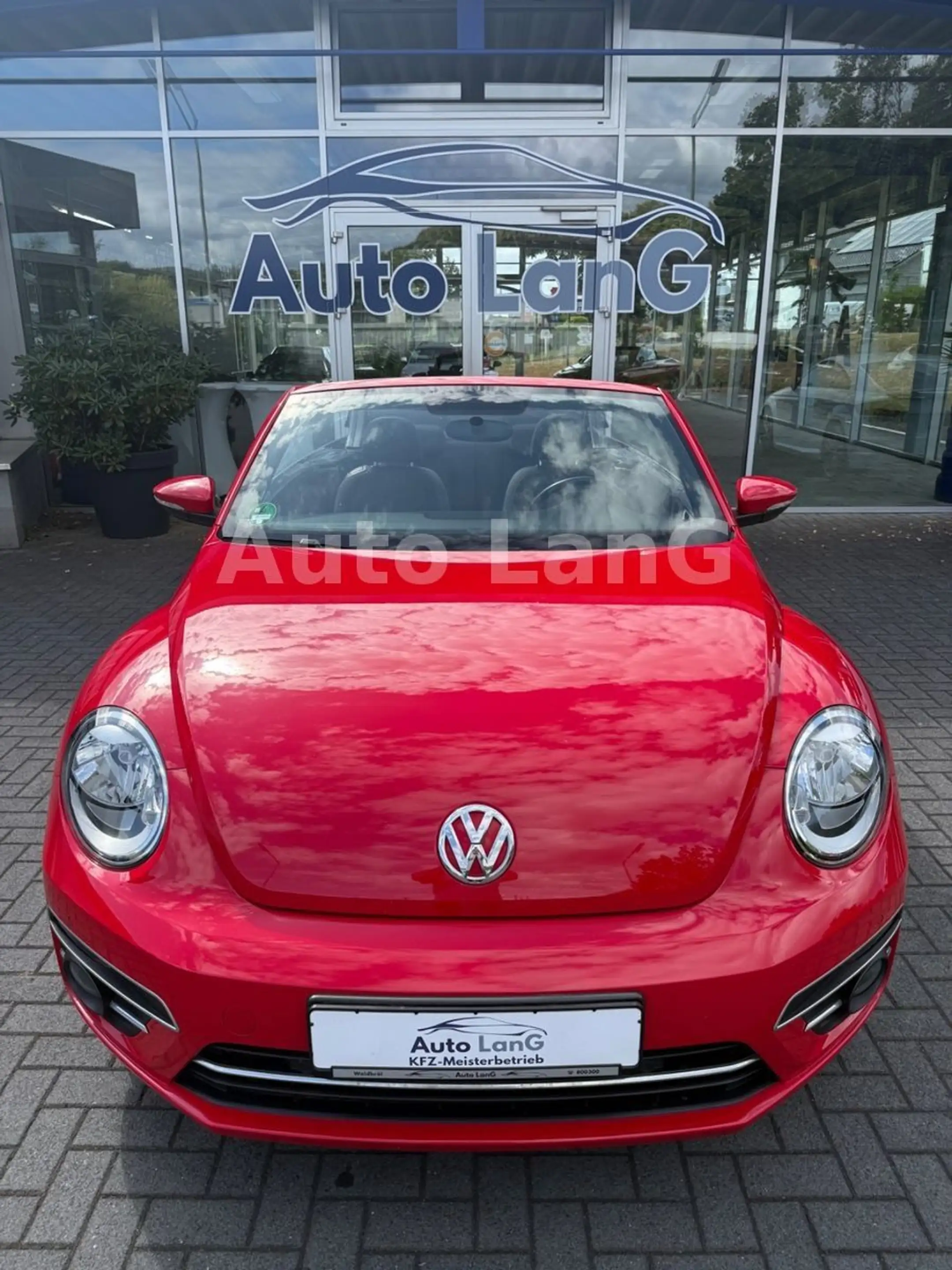 Volkswagen Beetle Cabrio Sound NAVI PDC SHZ — photo 3