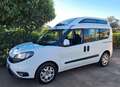 Fiat Doblo Doblò EURO 6 TETTO ALTO TRASPORTO DISABILI Alb - thumbnail 4