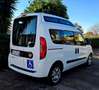 Fiat Doblo Doblò EURO 6 TETTO ALTO TRASPORTO DISABILI Alb - thumbnail 11