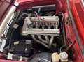 Alfa Romeo GT Junior mit 2 Liter Motor Червоний - thumbnail 12