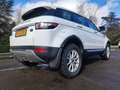 Land Rover Range Rover Evoque TD4 Prestige Blanc - thumbnail 2