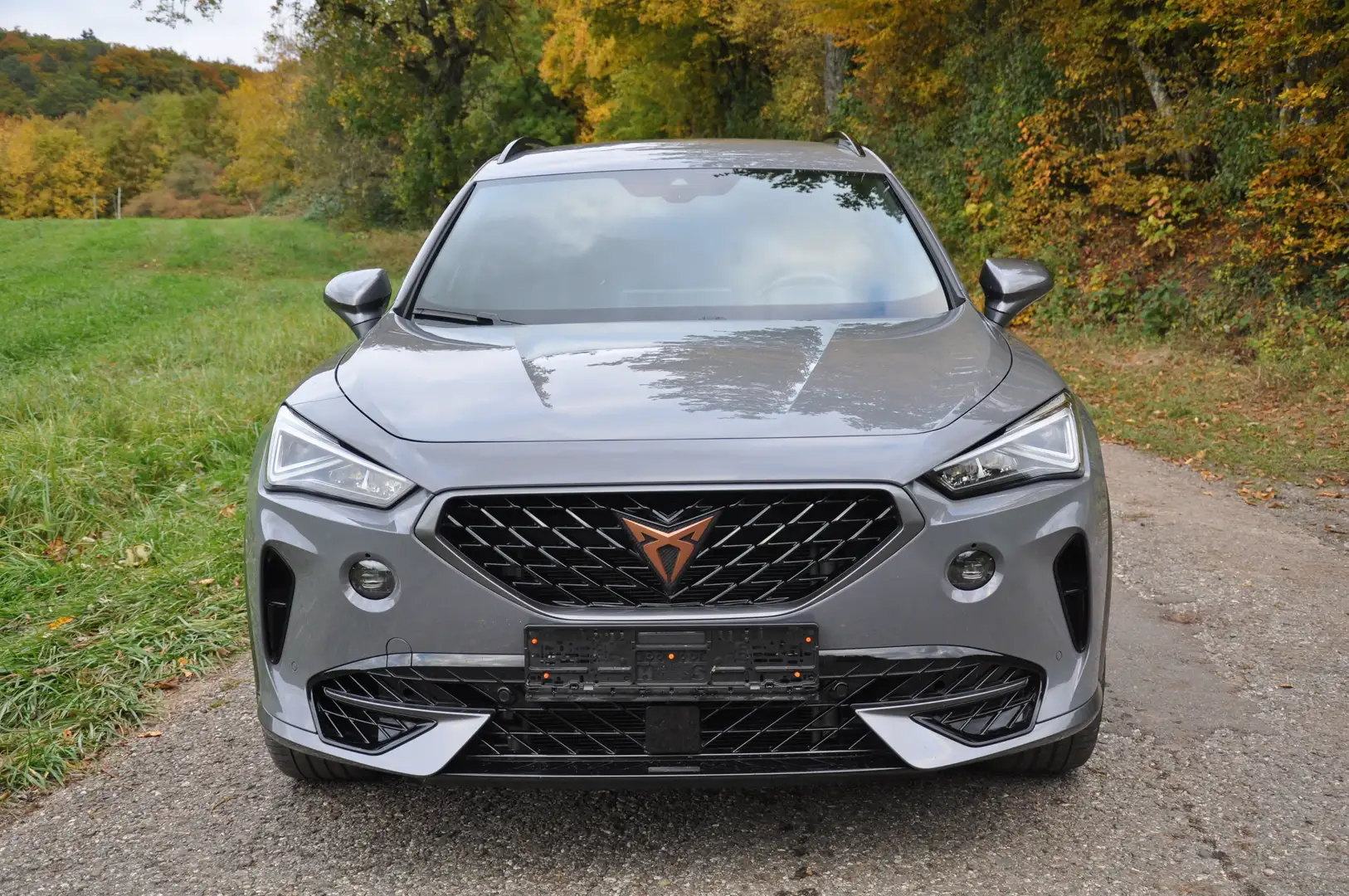 CUPRA Formentor VZ 4Drive Grau - 1