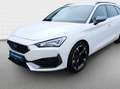 CUPRA Leon Sportstourer 2.0 TDI DSG Navi*Kamera*Keyles Weiß - thumbnail 14