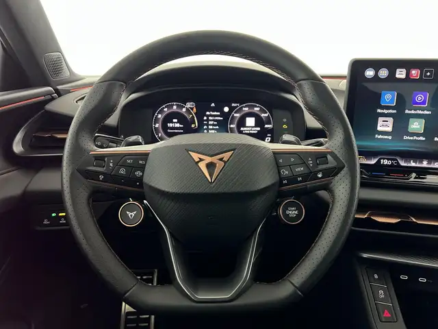 Cupra Terramar view 15