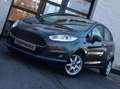 Ford Fiesta 1.25i Trend / Airco / Topstaat / Garantie Grau - thumbnail 1