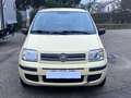 Fiat Panda Panda 1.2 Dynamic Gpl Giallo - thumbnail 1