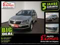Skoda Karoq 1.0 TSI AMBITION DSG AUT Grau - thumbnail 1