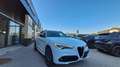 Alfa Romeo Stelvio Veloce TI 2,2 16V 210 AT8 Q4 Weiß - thumbnail 11