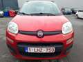 Fiat Panda 1.2i 69 CV / CLIMATISATION (Marchand ou Export) Narancs - thumbnail 2