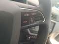 SEAT Ibiza 1.0 TGI 66kW (90CV) Style Plus Blanc - thumbnail 13