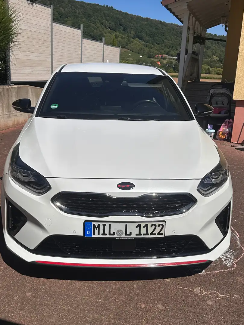 Kia ProCeed / pro_cee'd ProCeed 1.6 T-GDI DCT7 OPF GT Weiß - 1