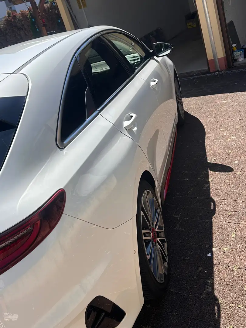 Kia ProCeed / pro_cee'd ProCeed 1.6 T-GDI DCT7 OPF GT Weiß - 2