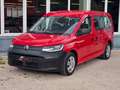 Volkswagen Caddy 2 Stück 2.0 TDI DSG Maxi 7 SITZER Rot - thumbnail 3