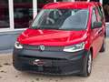 Volkswagen Caddy 2 Stück 2.0 TDI DSG Maxi 7 SITZER Rot - thumbnail 4