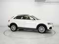 Audi Q3 2.0 TDI 184CV quattro S tronic Business White - thumbnail 6