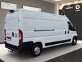 Fiat Ducato 130 L4H2 RS:4035mm Kamera PDC Klimaanlage Blanc - thumbnail 5