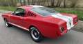 Ford Mustang Fastback GT350 Tribute Rot - thumbnail 3