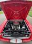 Ford Mustang Fastback GT350 Tribute Rot - thumbnail 26