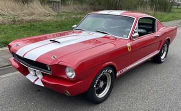 Fastback GT350 Tribute