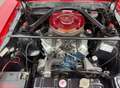 Ford Mustang Fastback GT350 Tribute Rot - thumbnail 22