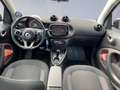 smart forTwo EQ  PULSE+PLUSPAKET+PREMIUMPAKET+CARBON Grau - thumbnail 11