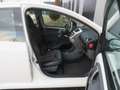 Toyota Aygo 1.0-12V Xcite White Weiß - thumbnail 15