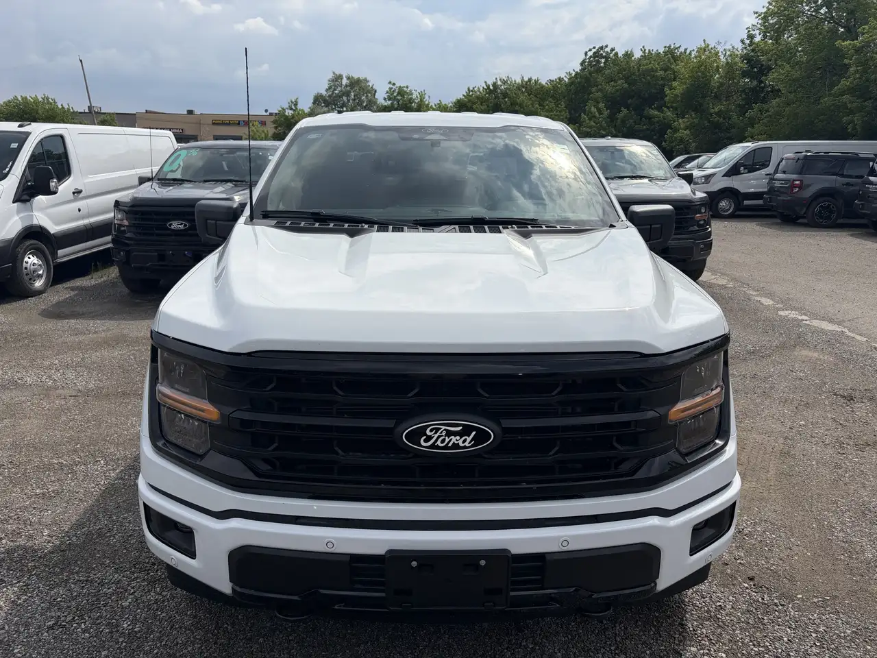 Ford F 150 снимка Ford F 150