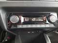 Skoda Fabia Combi Ambition 1,4 TDI Finanzierung möglich Brun - thumbnail 9