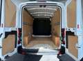 Ford Transit Transit Kasten 2,0 EcoBlue L3H2 310 Trend Weiß - thumbnail 7