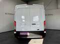 Ford Transit Transit Kasten 2,0 EcoBlue L3H2 310 Trend Weiß - thumbnail 5