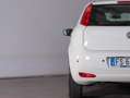 Fiat Punto 1.2 Street 69CV Bianco - thumbnail 5