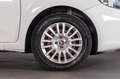 Fiat Punto 1.2 Street 69CV Bianco - thumbnail 6
