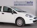 Fiat Punto 1.2 Street 69CV Bianco - thumbnail 2