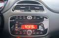 Fiat Punto 1.2 Street 69CV Bianco - thumbnail 12
