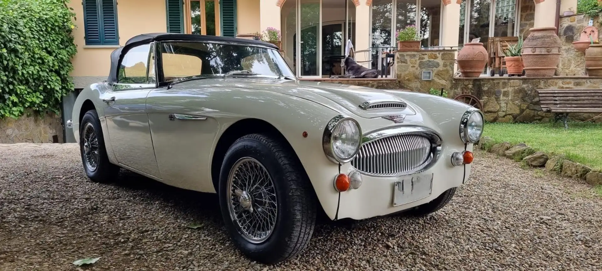 Austin Healey MKIII BJ8 Beżowy - 1