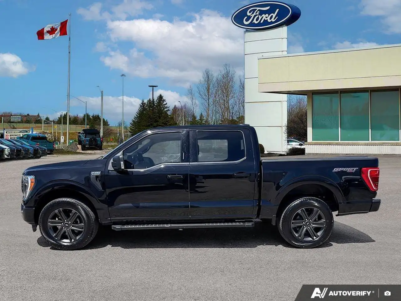 Ford F 150 fotografie Ford F 150