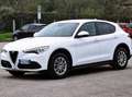 Alfa Romeo Stelvio Stelvio 2.2 t Super rwd 160cv auto Bianco - thumbnail 3