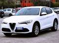 Alfa Romeo Stelvio Stelvio 2.2 t Super rwd 160cv auto Bianco - thumbnail 5